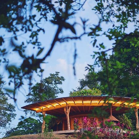 Origins Lodge Bijagua Eksteriør bilde