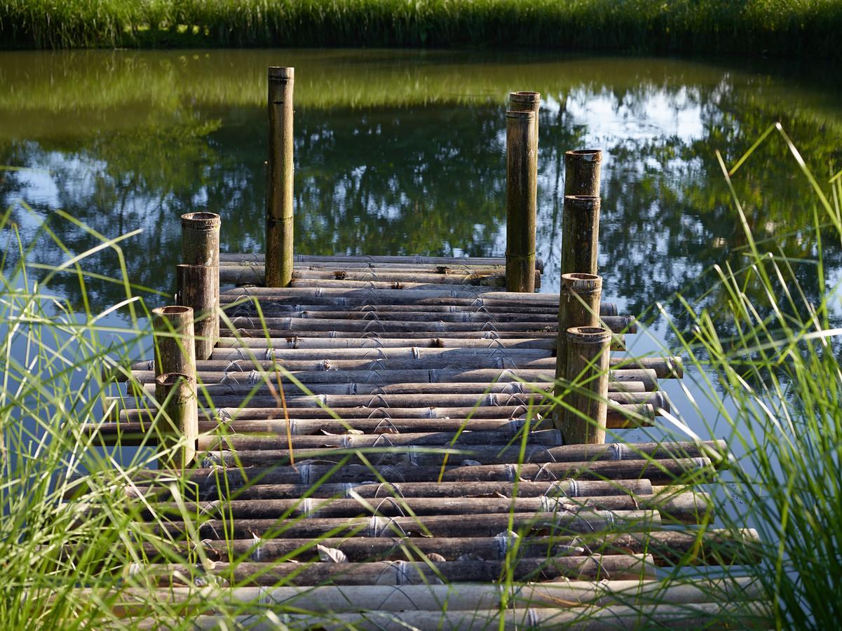 Origins Lodge Bijagua Eksteriør bilde