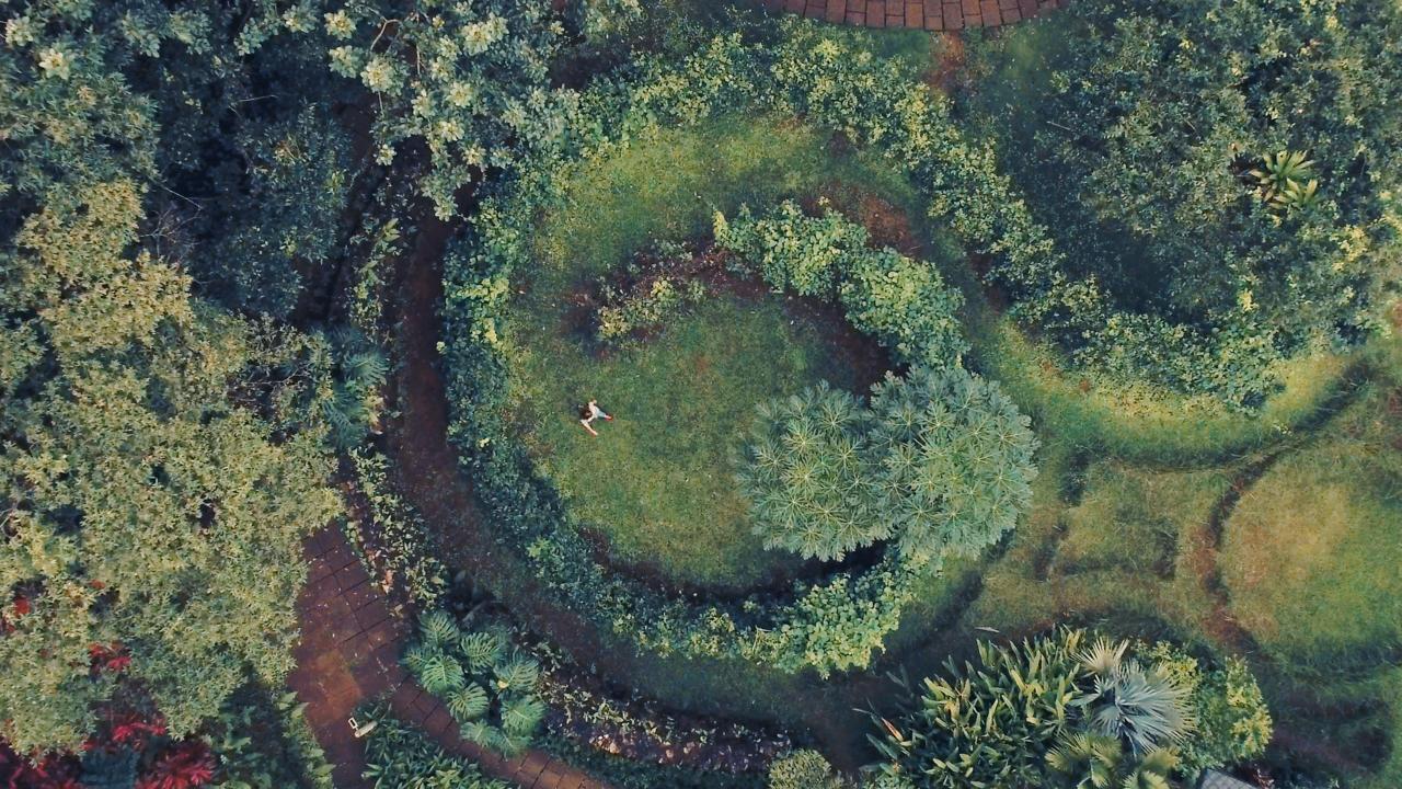 Origins Lodge Bijagua Eksteriør bilde